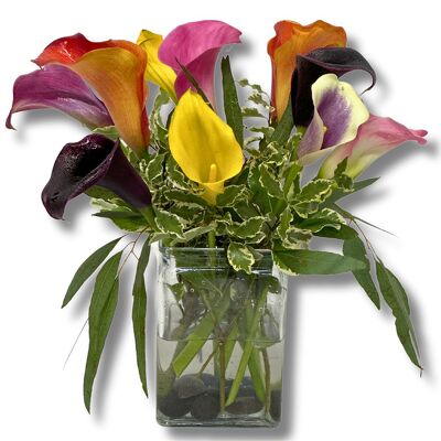 Colorful Callas